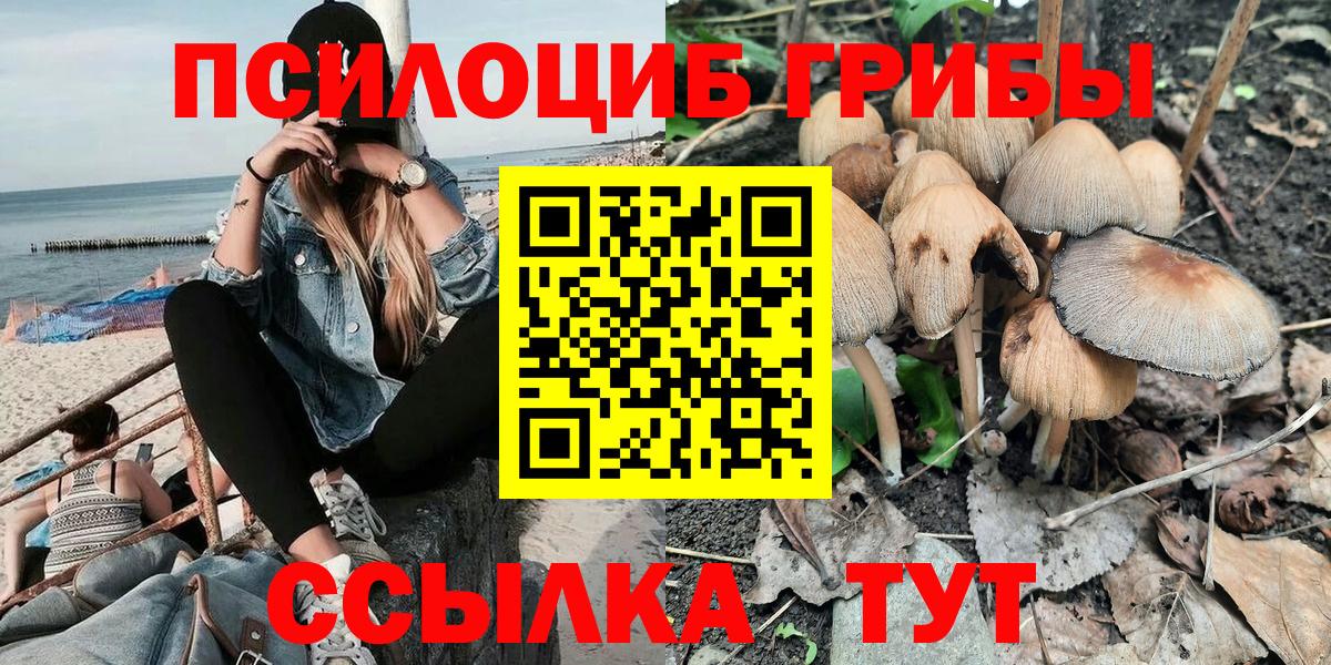 Псилоцибиновые грибы Magic Shrooms  Вход с VPN  Зерноград  купить закладку  Псилоцибиновые грибы Cubensis 