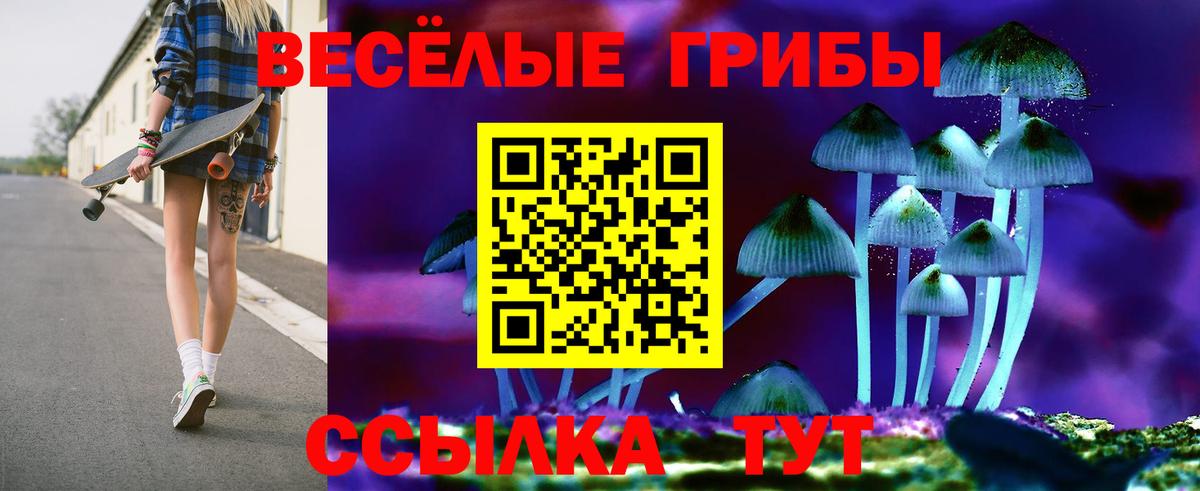 Галлюциногенные грибы Psilocybe Зерноград
